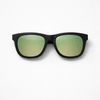 Wayfarer (Gloss Black, Silver Logo Temple, Green Mirror Lens)