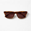 Classic Square Sunglasses — Amber Tortoise with Slim Profile